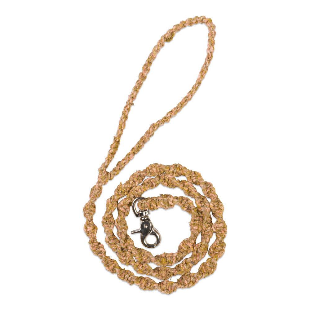 רצועה לכלב בצבע צהוב ורוד