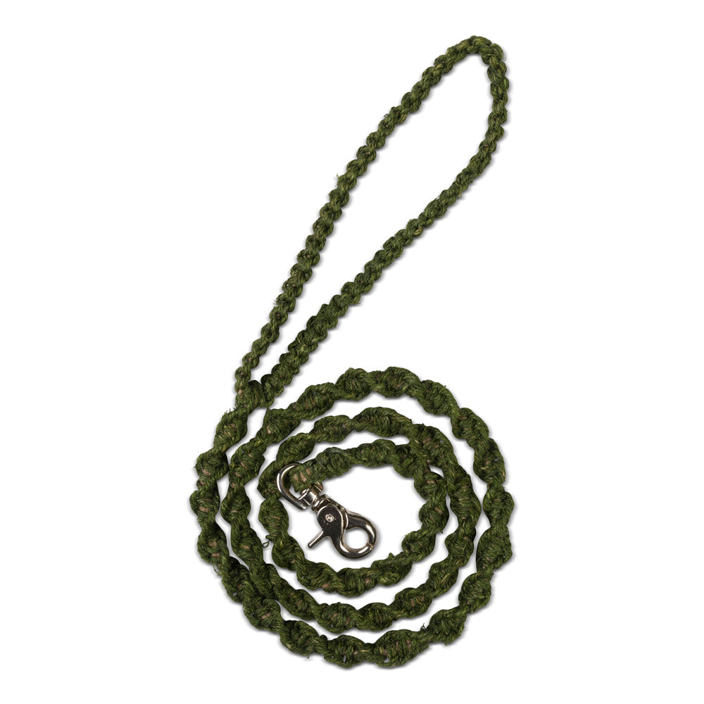 רצועה לכלב בצבע ירוק