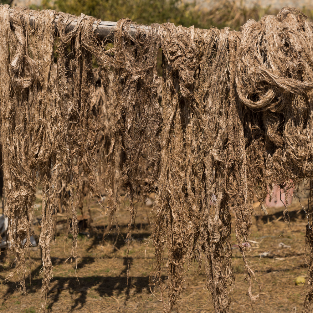 בד ההמפ בתהליך ייצור מסורתי